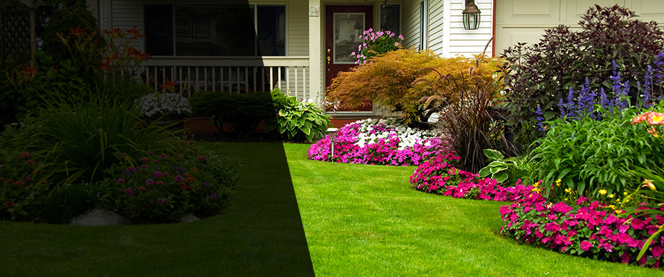 Wellford Landscapers