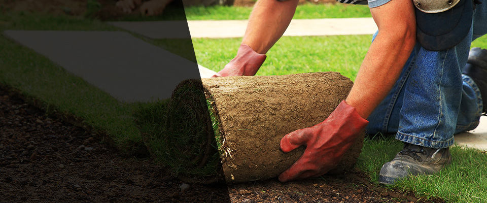 Wellford Landscapers